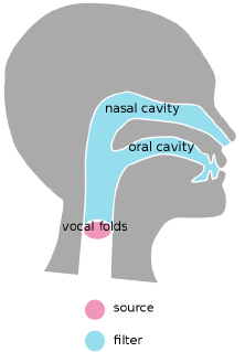 Figure 9: Speech generation. Emflazie, CC BY SA 4.0 <https://creativecommons.org/licenses/bysa/4.0>, via Wikimedia Commons